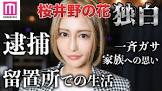 桜井野の花