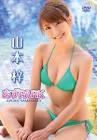 山本梓