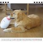 こーる君たち
