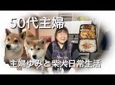 50代主婦ゆみ柴犬チャンネル