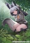 オオミミギツネ (けものフレンズ)