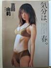 吉田由莉