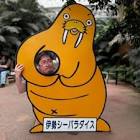 武蔵真之介