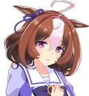 メイショウドトウ (ウマ娘)