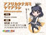 アフリカタテガミヤマアラシ (けものフレンズ)