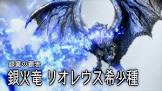 リオレウス希少種