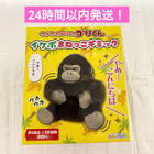Mr ikebo