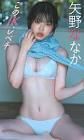 矢野ななか