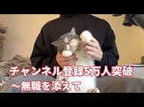 せこまる食堂