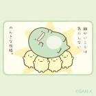 とかげ（本物）