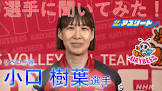 小口樹葉