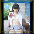 本田真琴