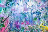 蜷川実花
