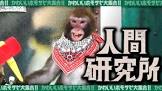 ホモサピ