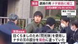 宮西詩音