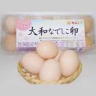 大和なでしこ