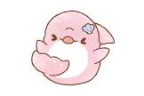 みいるか