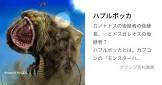 ハプルポッカ