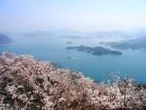沖山観影