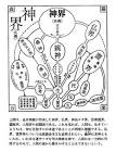 金井南龍
