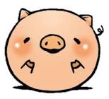 ころとん