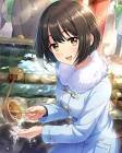 鷹富士茄子