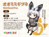 オオミミギツネ (けものフレンズ)
