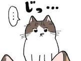 めりねこ
