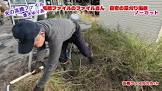 高橋ファイル