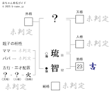 琉智