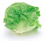 LETTUCE【れたす】