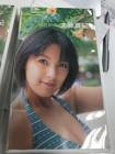 大藤真紀