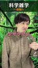 カズマ (院卒芸人)