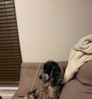 堀西 (horinisi_0414)