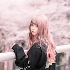 Ayano (タレント)