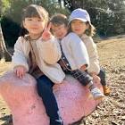 ひなた (ゆうひなた)