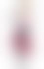 癒月ちょこ