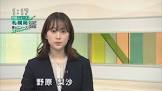 野原梨沙