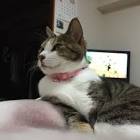 池田清志