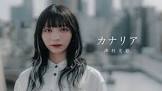 澤村光彩
