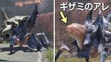 ショウグンギザミ