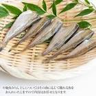 斎藤和干