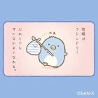 ぺんぎん（本物）
