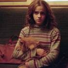 クルックシャンクス