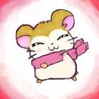 マフラーちゃん