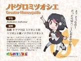 ノドグロミツオシエ (けものフレンズ)