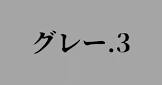 監視ポリス