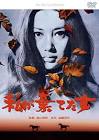 夏海千佳子