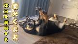 くま太の部屋