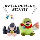 かいちゃん＆つぶちゃん